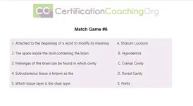 match 6 f.webp