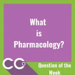 CCO - Question of the Week.webp