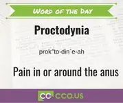 Word of the Day Proctodynia 7 14.webp