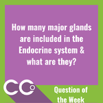 CCO - Question of the week #9.png