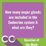 CCO - Question of the week #9.webp