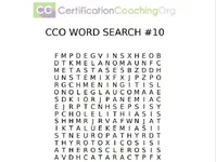 word search 10 fin.png