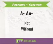 prefixes & Suffixes.webp