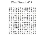 word search 11 pic.png