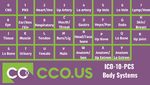 _ICD-10-PCS Body Systems.png