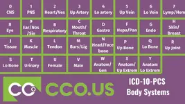 _ICD-10-PCS Body Systems.webp