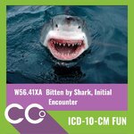 CCO - ICD-10-CM FUN #2.jpg