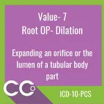 _ICD-10-PCS RO #7.png
