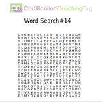 word search 14 fin pic.png