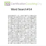 word search 14 fin pic.png