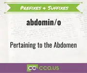 prefixes & Suffixes Abdomin_o (1).webp