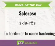 Word of the Day Sclerose 2 25.webp