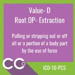 _ICD-10-PCS RO #D.webp