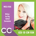 CCO - ICD-10-CM FUN #5.webp