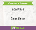 _Prefixes & Suffixes -acanth_o.jpg