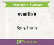 _Prefixes & Suffixes -acanth_o.webp