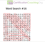 word search 16 ans fin.png