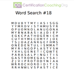 WORD SEARCH 18 FIN PIC.png