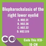 Code this ICD-10-CM #18.webp