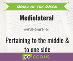 Word of the Week Mediolateral 9 29.jpg