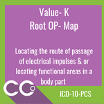 ICD-10-PCS RO #K.png