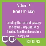 ICD-10-PCS RO #K.png