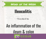 Word of the Week Ileocolitis 10 13.jpg