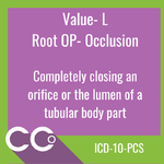 ICD-10-PCS RO #L.png