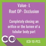 ICD-10-PCS RO #L.webp