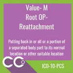 ICD-10-PCS RO #M.webp