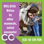 CCO - ICD-10-CM FUN #12.webp