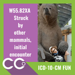 CCO - ICD-10-CM FUN #16png.jpg