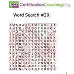 WORD SEARC 20 FIN ANS.png