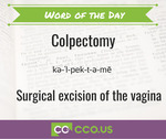 Copy of Word of the Day Colpectomy.11 18png.jpg