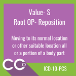ICD-10-PCS RO #S.png