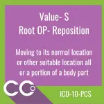 ICD-10-PCS RO #S.webp