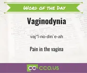 Word of the Day Vaginodynia 12 1.webp