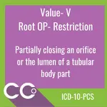 _ICD-10-PCS RO #V.webp