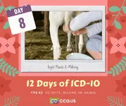 12 Days of ICD-10 - 08.webp