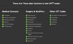 Mini mocks.webp