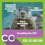 ICD-10-CM Fun #20.webp