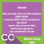 Copy of Coding Tidbit #9.webp