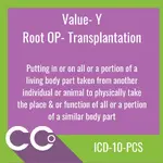 _ICD-10-PCS RO #Y.webp