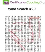 Screen Shot 2021-03-01 at 12.11.45 PM.webp