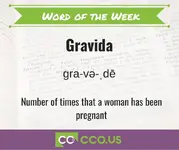 Word of the Week Gravida 3 24.webp
