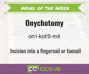 Word of the Week Onychotomy 3 30.webp
