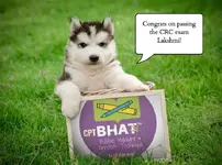 Lakshmi 1.webp