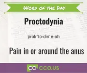 Word of the Day Proctodynia.jpg