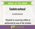 Word of the Week Endotrachel.jpg