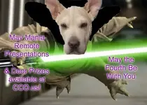 may 4th cco.webp may 4th cco.webp